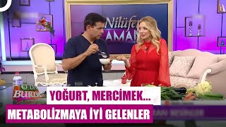 Metabolizmaya Hangi Besinler İyi Geliyor Gürkan Kubilay Anlatıyor [upl. by Doran541]