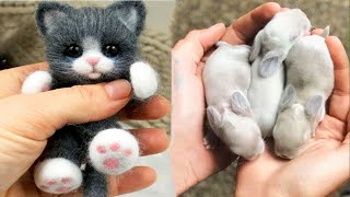 AWW Animals SOO Cute Cute baby animals Videos Compilation cute moment of the animals 14 [upl. by Jeanie]