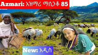 Ethiopia ምርጥ የአገር ትዝታ አዝማሪ ማሲንቆ  Azmari Masinko  Best Ethiopian Azmari Music Part 85 [upl. by De]