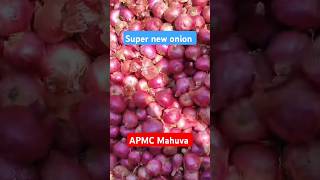 Super new onion 🤔🤔🤔shorts ytshort viralvideo kisan [upl. by Buderus]