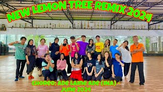 New Lemon Tree Remix 2024  Line dance [upl. by Pauletta]