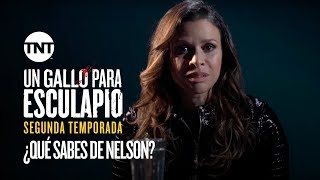 ¿Qué sabes de Nelson  Un Gallo Para Esculapio  Segunda Temporada [upl. by Joseph]