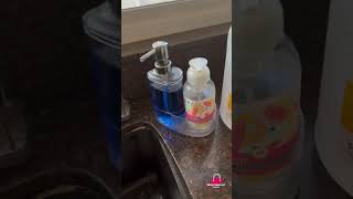 Foaming hand soap for for home or office [upl. by Melamie]