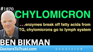 BEN BIKMAN mcD2  CHYLOMICRON enzymes break off fatty acids from TG chylomicrons to lymph system [upl. by Yattirb978]