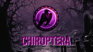 SCRIM POV  Chiroptera  19032024 [upl. by Rufina]