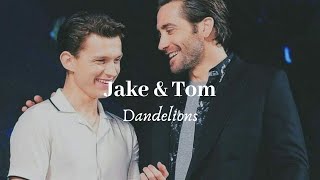 Jake Gyllenhaal and Tom Holland • Dandelions [upl. by Maddeu]