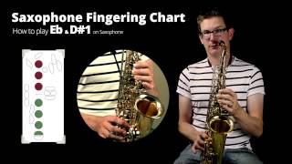 How to play low E Flat on Alto Saxophone  Notes on Saxophone beginner series [upl. by Retrak]