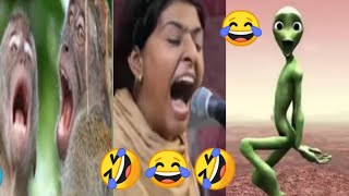 Noran Sisters  Noran Sisters Funny Video  Noran Sisters Donkey funny Video  Funny Video 2023 [upl. by Leith701]