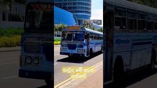 million likes for sothern tangalle bus colombo dakuna southern galle matara [upl. by Burleigh]