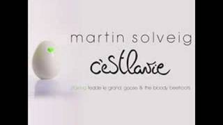 Martin Solveig  Cest La Vie John Dahlback mix [upl. by Benoite975]