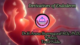 Arunanatomy  Embryology  Derivatives of Endoderm  Animated Video [upl. by Aihtniroc127]