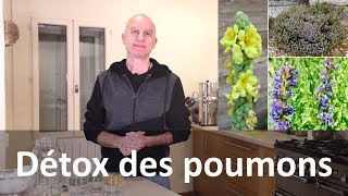 Détox des poumons avec les plantes  cigarette et pollution [upl. by Lane]