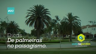 Dicas de Palmeiras no paisagismo 20 [upl. by Gabie]