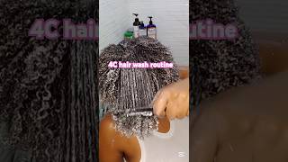 The Ultimate Type 4 Hair Wash Day Routine Step By Stephairwashday shortsvideo [upl. by Ynettirb]