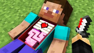 Minecraft But I Added Surgery [upl. by Anicart]