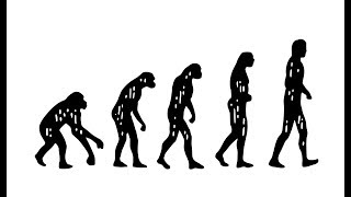 What is Darwin’s Theory of Evolution [upl. by Rubia]