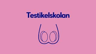 Testikelskolan [upl. by Aihsatsan]