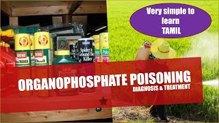 ORGANOPHOSPHATE POISONINGPATHOPHYSIOLOYDIAGNOSISTREATMENT EXPLAINED SIMPLE IN TAMIL [upl. by Joachim]