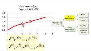 Expectation Theories of Yield Term Structures [upl. by Schug]