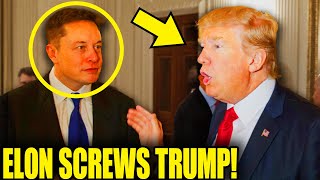 Elon STABS TRUMP In The BACK With SHOCKING Admission [upl. by Pernick297]