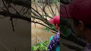 Mancing Di Hutan Kalimantan [upl. by Anoid]