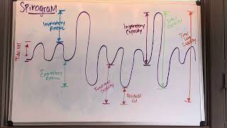 Understanding the Spirogram [upl. by Leake]