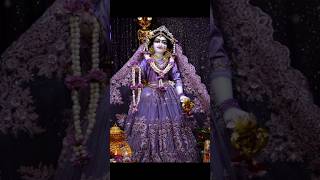 Shri Radha Rani status 💖radharani youtube feed shorts viralshort [upl. by Inalaek]