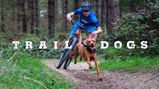 Trail Dogs [upl. by Talanta]