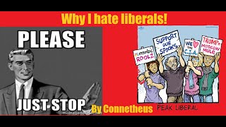 Why I hate liberals by Connetheus [upl. by Ambur]