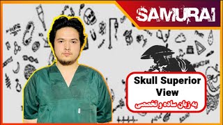 ANATOMY Skull Superior View [upl. by Augie]