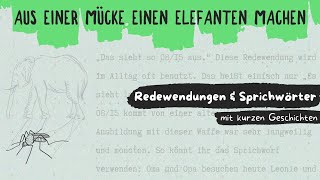 462 aus einer Mücke einen Elefanten machen  Deutsche Redewendungen amp Sprichwörter DldH [upl. by Ettenim]