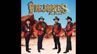 Los Viejones de Linares  POLKAS Y HUAPANGOS MIX 13 EXITOS [upl. by Jackson]