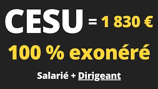 Comment mettre en place le CESU  Obligations et avantages fiscaux [upl. by Anaher]