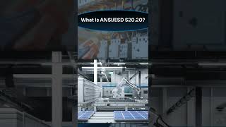 What Is ANSIESD S2020 [upl. by Ellennej180]