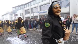 Fasnetsumzug Gärtringen Teil 1 [upl. by Trow]