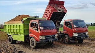 DUMP TRUKMobil Truk Toyota Dyna Jomplang Muatan Tanah Merah di Penimbunan Sawah [upl. by Htebasyle]