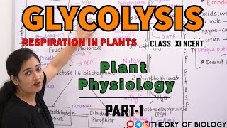 Glycolysis Respiration in plants ClassXI PLANT PHYSIOLOGY NEET 2025DSSB PGTHTETKVS BIOLOGY [upl. by Klinger]