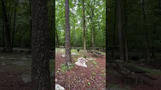 Shorts Planning for a Modern Picnic Area and Updated Playground at Alabama’s State Park [upl. by Adamsun]