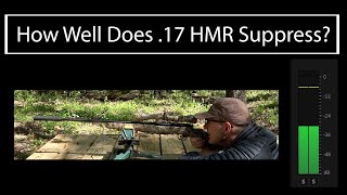 How Well Does 17 HMR Suppress [upl. by Laural693]