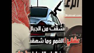 عشقي انا عشق الشيوخ  آقول بس استريح 2012 [upl. by Ardin343]