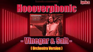 Lyrics  Hooverphonic  Vinegar amp Salt Orchestra Version [upl. by Quick579]