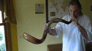 Professional Yemenite Shofar A Sound wwwtheshofarmancom Listen How Great it Sounds [upl. by Enined]