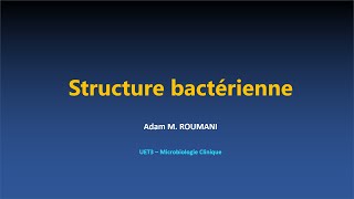 Microbio  Structure bactérienne [upl. by Ramak571]