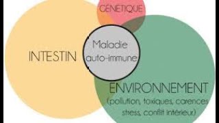 les maladies autoimmuns MEDCINE imminologie [upl. by Orian159]