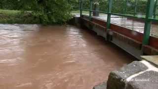 Hochwasser Dresden Lockwitzbach wird zum reißenden Fluss [upl. by Garson]