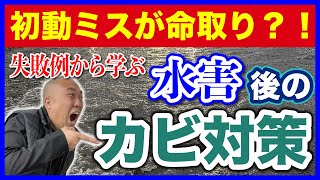 【初動を間違えたら大惨事】水害後のカビ対策【基礎パッキン・基礎断熱】ZEHの家・床下のカビ問題 [upl. by Jair]