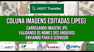 15  Coluna Imagens Editadas JPEG do JABOT TRANSFER [upl. by Blondell]