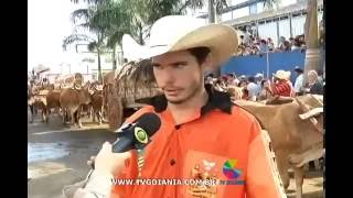 Serjão Berranteiro o Matador de Onça Festa de Trindade [upl. by Sergeant852]