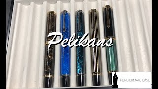 Pelikan M800 and M1000 Comparison [upl. by Abel596]