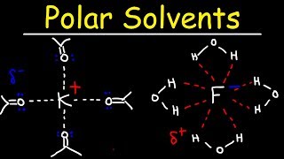 Polar Protic Solvents and Polar Aprotic Solvents For SN1 amp SN2 Reactions [upl. by Ennovyhs]